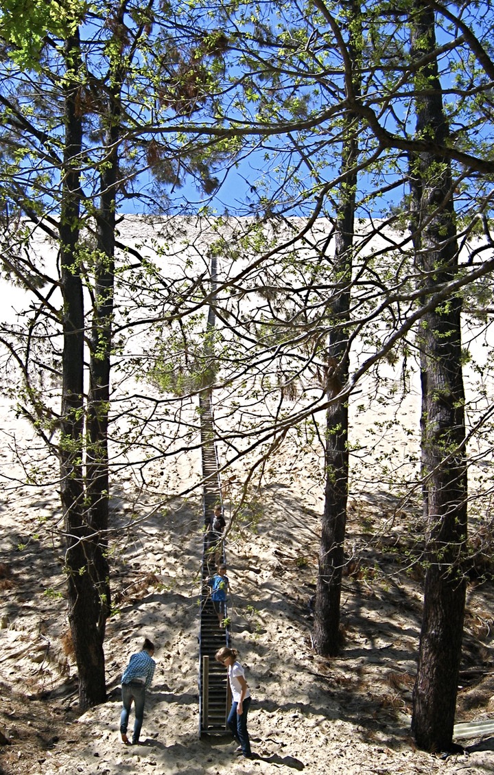 Stairs ascending Dune du Pilat